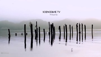 Capture-écran du début du ducumentaire : « Science et Vie TV présente ...». Photo de tiges en bois plantées dans un lac gris-blanc, couvert de brume. On discerne des collines ou montagnes environ 700 mètres plus loin.