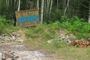 Photo : pancarte en bois avec les mots colorés « De retour après la pause ». Feu de camp, bois cordés, forêt verte.