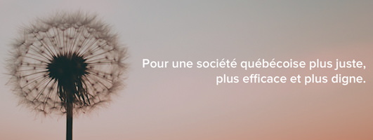 Bannière du site : vue de près d'un pissenlit blanc prêt à semer... « Pour une société québécoise plus juste, plus efficace et plus digne.»