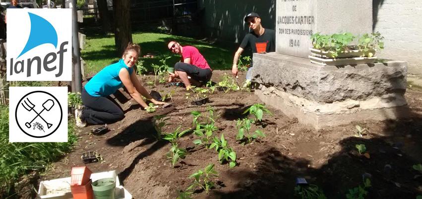 Photo de gens travaillant dans un jardin le long des murs de l'église. Logo La Nef et Verdir Saint-Roch.